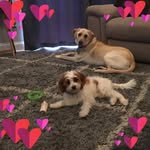Nancy Millar - @millar662 - Instagram