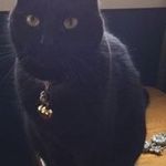 Nancy Milligan - @ajmmilli - Instagram