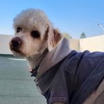 Nancy Mino - @everest_cumi - Instagram