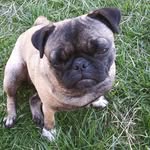 Nancy Mitchell - @nancy.mitchell.549221 - Instagram