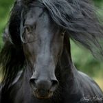 Nancy Mitchell - @nancy.mitchell.photography - Instagram