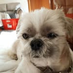 Nancy Moenssens - @nancymoenssens - Instagram