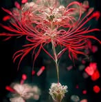 Nancy Mok - Facebook
