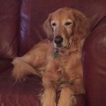 Nancy Molter - @nancymolter - Instagram