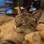 Nancy Moncrief - Facebook