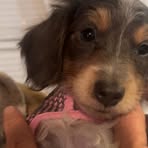 Nancy Moncrief Honey - Facebook
