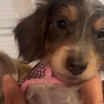 Nancy Moncrief Honey - @nancymoncriefhoney - Instagram