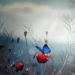 Nancy Mondi - Facebook