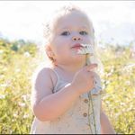 Nancy Curtis Monteith - @nancycurtismonteith - Instagram