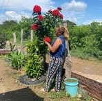 Nancy Montéz - Facebook