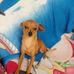 Nancy Mora - Facebook