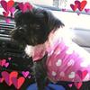 Nancy Morehead - @nancy.morehead - TikTok