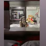 the_nancynallely16 - @nancymorones17 - Instagram