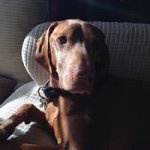 Nancy Morrison - @morrison.nancy - Instagram