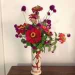 Nancy Morrow - @memphisplantlady - Instagram