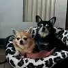 Nancy Mooser - @nancymooser - TikTok