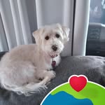 Nancy Mott - @nanner4056 - Instagram