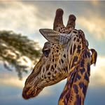 Nancy Motto - @nancymotto - Instagram