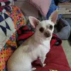 Nancy Motter - @nancy.motter - TikTok