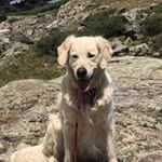 Nancy Moule Rowe - @nancymrowe - Instagram