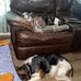 Nancy Mount - Facebook
