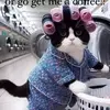 nancychemountd - @nancychemountd - TikTok