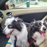 Nancy Mounts Povataj - @nancypovataj - Instagram