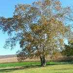 Nancy Lewis Mowery - @nancymowery - Instagram