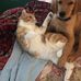 Nancy Mowery - Facebook