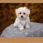 Nancy Duncan Moye - @nmoye60 - Instagram