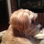 Nancy M. Muffick - @mufficknancy - Instagram