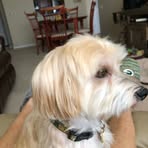 Nancy Muffick - Facebook