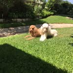 Nancy Mull - Facebook