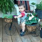 Nancy Mull - @mullnancy - Instagram