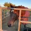 nancymuller5151 - @nancymuller5151 - TikTok