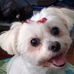 Nancy Mulroy - Facebook