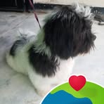 Nancy Munos - Facebook
