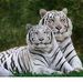 Nancy Munson - Facebook