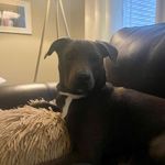 Nancy Munson - @nancylynn96 - Instagram