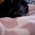 Nancy Munson - Facebook