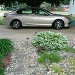 nancy munson - @munsonnancy - Instagram