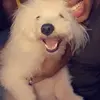 Nancy Mureithi - @nancy.mureithi - TikTok