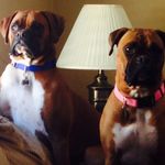Nancy Murrin - @murrinnancy - Instagram