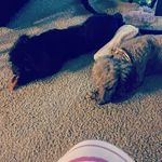 Nancy Musgrave - @nancy.musgrave.54 - Instagram