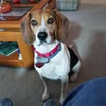 Nancy Scandrett Muzzy - @nvmuzzy - Instagram