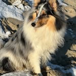Nancy Nackaerts - @nackaertsnancy - Instagram