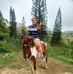 Nancy Nance - Facebook