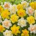 Nancy Nance - Facebook