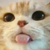 NANCY NARVAEZ - @nancy.narvaez36 - TikTok