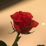 Nancy Narvaez - @_.nancy.narvaez._ - Instagram